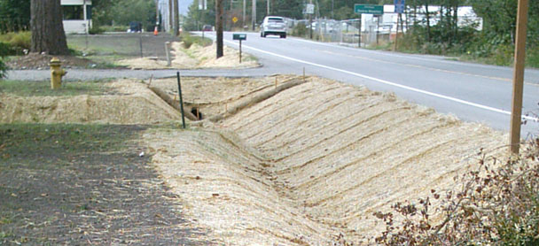 East Division Street_main Water System Grant Prep and Design