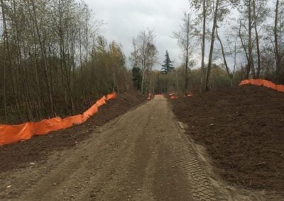 MAHOGANY – ARCTIC AVE ARTERIALS