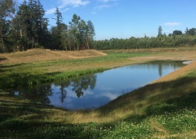 NORTH END REGIONAL POND