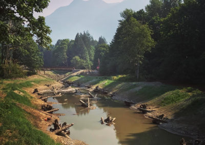 PRESSENTIN PARK SIDE CHANNEL RESTORATION AND RECREATIONAL IMPROVEMENTS