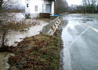 FERNDALE LEVEE IMPROVEMENTS